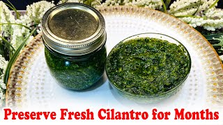 Preserve Fresh Cilantro for Months [upl. by Alyos]