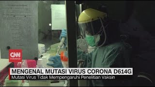 Mengenal Mutasi Virus Corona D614G [upl. by Zelde]