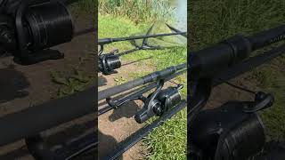 Korda kaizen green daiwa emblem 23 combo fishing carpy kaizen karp carp fish [upl. by Faubion]