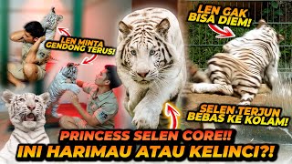 SELEN CORE  KUMPULAN VIDEO2 KELAKUAN UNIK SELEN  DARI PAS TIBA DISINI SAMPAI SAAT INI [upl. by Tonie]