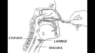 ASPIRAZIONE ORO NASO FARINGEA IN ETA PEDIATRICA VIDEO PER INFERMIERI e STUDENTI [upl. by Eenerb301]