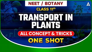 TRANSPORT IN PLANTS ONE SHOT  ALL CONCEPT amp TRICKS  NEET CLASS 11 BIOLOGY ONE SHOT BY SANKALP [upl. by Hailed]