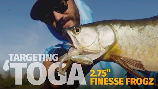 How to Catch Saratoga on Surface Plastics  Kayak Fishing for Saratoga and Bass [upl. by Schalles491]