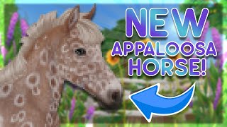 NEW Updated Appaloosa Horses 🐴😮  SPOILER  Star Stable Online [upl. by Rebekkah]