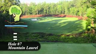 Sage Valley Golf Course  Hole 7 Overview [upl. by Had160]