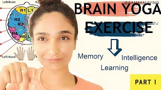 Brain yoga exercise  Fingers Brain connection  Intelligence Memory Learning [upl. by Hutner]