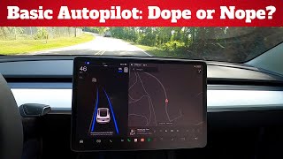 Tesla Basic Autopilot Features  What Does It Really Do [upl. by Stanton]