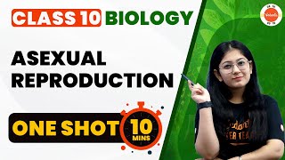 Asexual Reproduction Class 10 One Shot  How Do Organisms Reproduce  CBSE 10th Biology Chapter8 [upl. by Shelby]