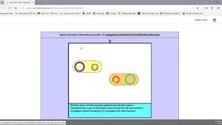 Plasmids and Transposons [upl. by Natan]