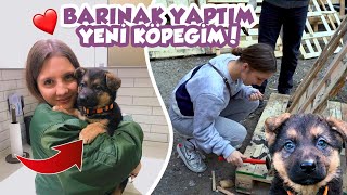 SOKAK HAYVANLARINA BARINAK YAPTIM  YENİ KÖPEĞİM🐶 [upl. by Chlori]