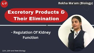 Lec7 Excretory products and their elimination Regulation of Kidney Function  Neet  Ncert [upl. by Ecikram]