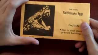 One Dozen Rattlesnake Eggs Envelope Prank [upl. by Tteragram]