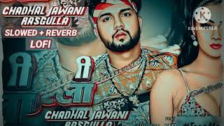 Chadhal jawani rasgulla neelkamal song lofi Chadhal jawani rasgulla neelkamal song slowed and reverb [upl. by Johnna]