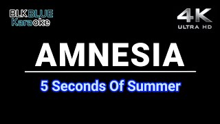 Amnesia  5 Seconds Of Summer karaoke version [upl. by Ziana]