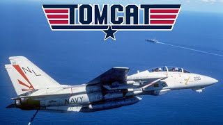 The F14 Tomcat The Ultimate Fleet Defender and the Grummans Ultimate Cat [upl. by Bunow]