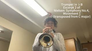 Excerpt 2 of Nielsen Symphony No4—Siru Chen [upl. by Cyb]