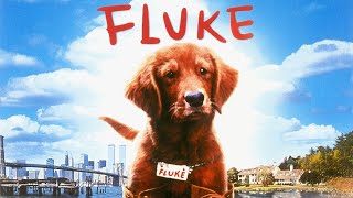 Fluke Full Movie English 1995 Review amp Facts  Matthew Modine Jon Polito Eric Stoltz Nancy Travis [upl. by Aneert]