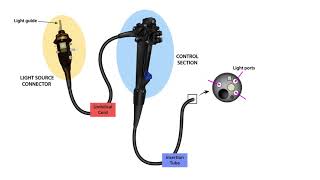 Endoscope Technology TheoryLesson 3Endoscope Parts [upl. by Sproul]