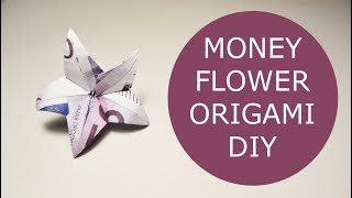 Money Flower Origami Euro Tutorial DIY Folded No glue [upl. by Fosdick]