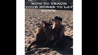 How To Teach Your Horse To Lay Down [upl. by Corell]