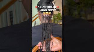 How to get perfectly sized hair for mini Marley twists 💕 hairtutorial minitwists [upl. by Enileve260]