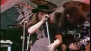 Lynyrd Skynyrd  Free Bird Live [upl. by Littman]