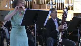 Concerto for Piccolo and Contrabassoon I Allegro giusto  Damian Montano [upl. by Adnor]