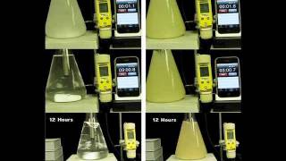 Gypsum vs Calcium Sulfate Anhydrite [upl. by Ahsasal]