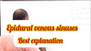 Epidural venous sinuses anatomy medical mbbs bds trending viralvideo [upl. by Halas702]