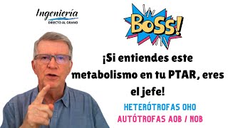 Si entiendes el metabolismo OHO del proceso de nitrificación de lodos activados eres el jefe [upl. by Macintosh]