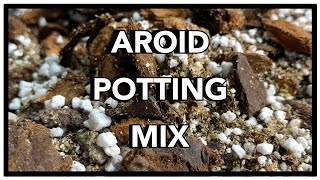 Potting Mix for Monstera  Aroid Potting Mix Recipe  How to Ep 41 [upl. by Rodina]