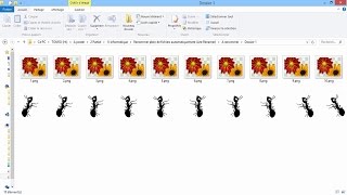 Renommer plein de fichiers automatiquement 🐜 Ant Renamer [upl. by Nordna]
