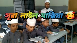 সূরা লাইল মাক্কিয়া কুরআন কুরআনতিলাওয়াত quranandhadiseragalpa তিলাওয়াত [upl. by Beebe545]