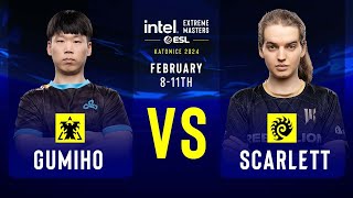 GuMiho vs Scarlett  IEM SC2 Katowice 2024  Group Stage [upl. by Aiela]