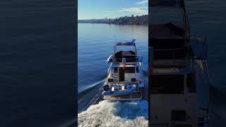 Exploring the Aspen Catamaran Domino on Lake Washington Luxury on the Water [upl. by Ebehp895]