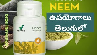 Vestige Neem capsules Benefits ampUsage in Telugu  Diabetes treatment [upl. by Anilag739]