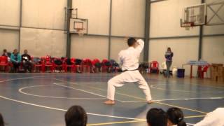 Sanseru Kata Nakamura Sensei Chile 2013 [upl. by Craw]