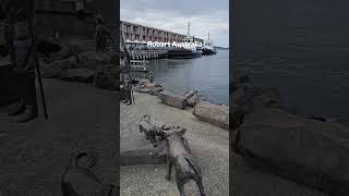 Hobart Australia 🇦🇺 ⛵️🚢💞hobart tasmania australia tas cruise visithobart visittasmania [upl. by Phenice]