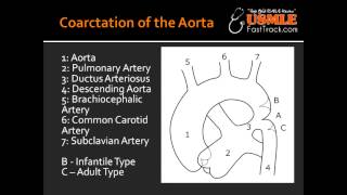 Coarctation of the Aorta  Infantile type amp Adult type [upl. by Rifkin]