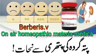 Berberis vبربرس ویلگیرس Dr Matloob Ahmadurdu hindi پتے گردے مثانہ کی پتھری اور درد کی دوا [upl. by Ariada578]