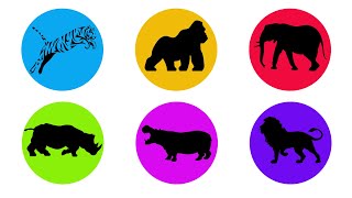 Carnivores and Herbivorous Animals Lion Tiger Gorilla Elephant Hippopotamus Rhinoceros [upl. by Aruol]