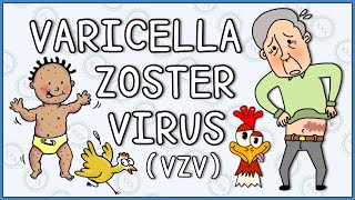 Varicella zoster virus Chicken Pox and Shingles herpes zoster [upl. by Aruasi560]