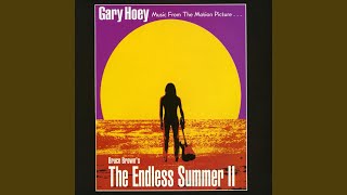 Theme from the Endless Summer [upl. by Gulick]