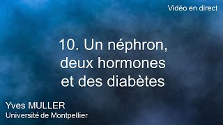 10 Un néphron deux hormones et des diabètes [upl. by Cordelia]