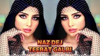 Teebat Galbi 2024 تيبات جالبينو ريمكس Tiktok Viral Music [upl. by Ysle695]