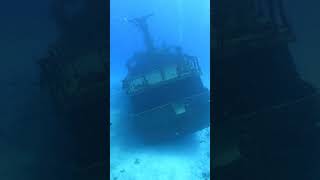 Wreck  Mexico  Playa del Carmen  Dive [upl. by Sidell]