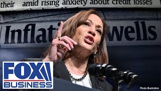 Expert reveals the truth about Kamala Harris disaster tax proposal [upl. by Eniledam]