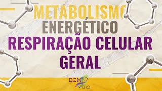 Metabolismo Energético  Respiração Celular  Geral [upl. by Orpheus651]