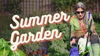 Gardening UpDate  Summer Gardening  Eatting out with Son  Part 1  Reflexion Family  Potwari [upl. by Adamina228]