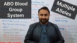 ABO Blood Group System  First Discovered Multiple Allelic Blood Group System  Multile Alleles [upl. by Linder]